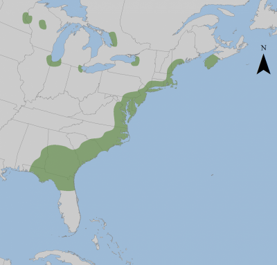 Atlantic Coastal Plains Map Natural History Coastal Plain Flora