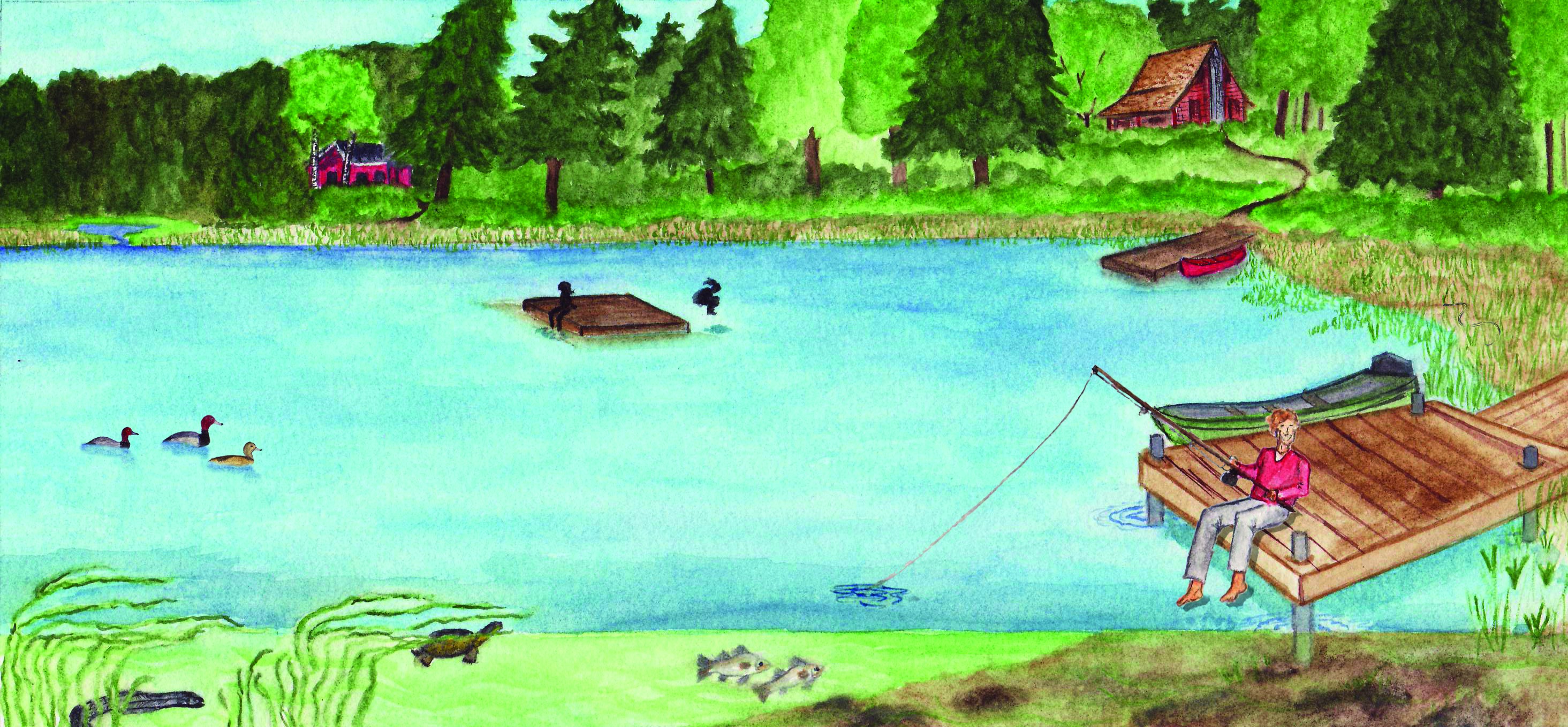 Dock Building | Landowner Stewardship Guide Dock Building | Landowner Stewardship Guide